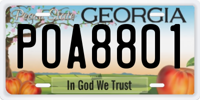 GA license plate POA8801