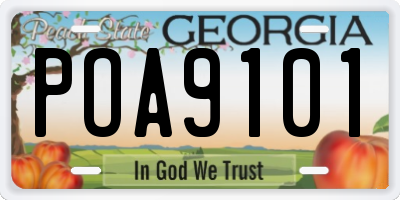 GA license plate POA9101