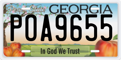 GA license plate POA9655