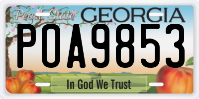 GA license plate POA9853