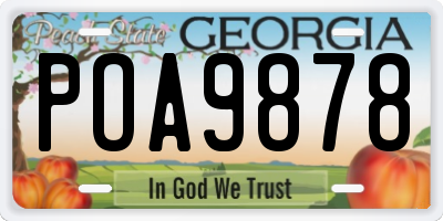 GA license plate POA9878