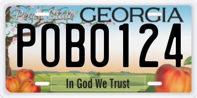 GA license plate POB0124