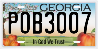 GA license plate POB3007