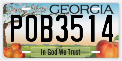 GA license plate POB3514