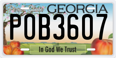 GA license plate POB3607