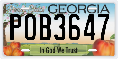 GA license plate POB3647