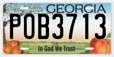 GA license plate POB3713