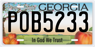 GA license plate POB5233