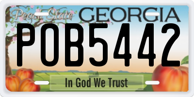 GA license plate POB5442