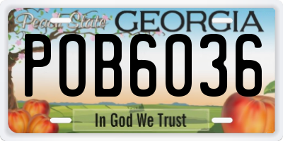 GA license plate POB6036