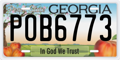 GA license plate POB6773