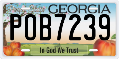 GA license plate POB7239