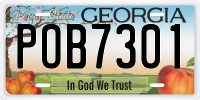 GA license plate POB7301