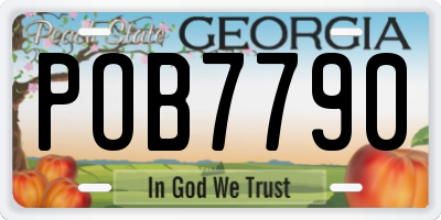 GA license plate POB7790