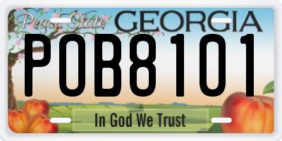 GA license plate POB8101