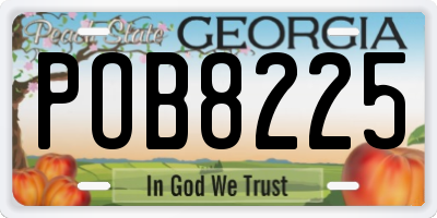 GA license plate POB8225