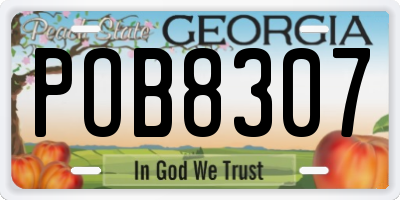 GA license plate POB8307