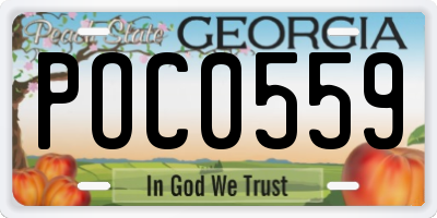 GA license plate POC0559