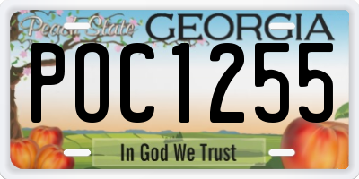 GA license plate POC1255