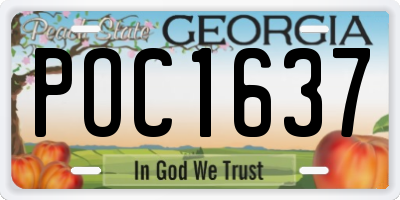 GA license plate POC1637