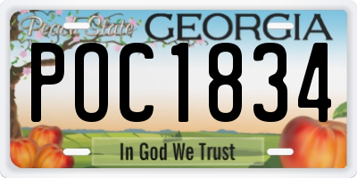 GA license plate POC1834