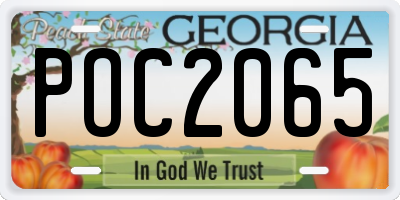 GA license plate POC2065