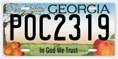 GA license plate POC2319