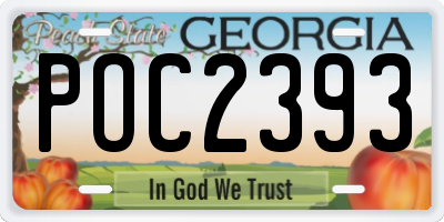 GA license plate POC2393