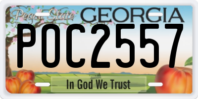 GA license plate POC2557