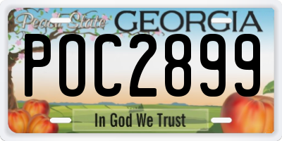 GA license plate POC2899