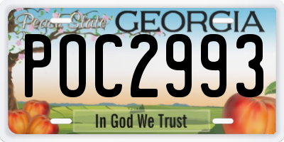 GA license plate POC2993