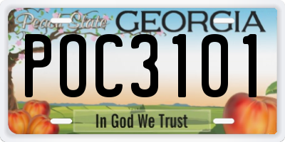 GA license plate POC3101