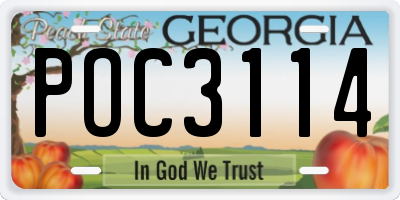 GA license plate POC3114