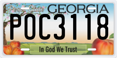 GA license plate POC3118