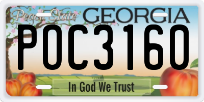 GA license plate POC3160