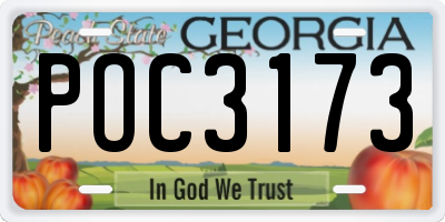 GA license plate POC3173