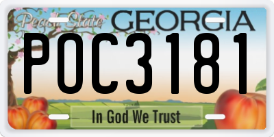 GA license plate POC3181