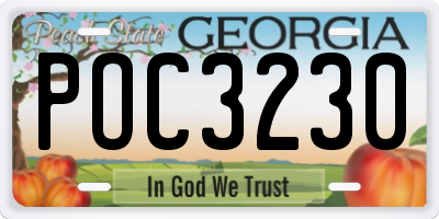 GA license plate POC3230