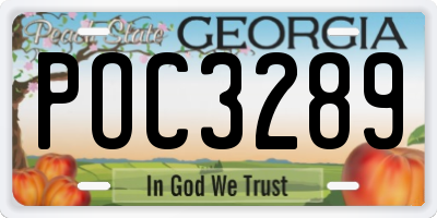 GA license plate POC3289