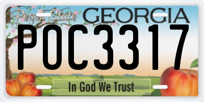 GA license plate POC3317