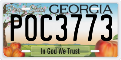 GA license plate POC3773
