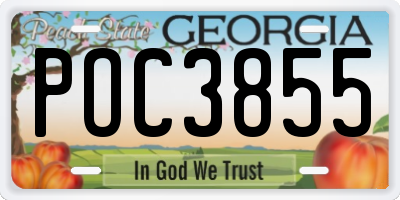 GA license plate POC3855