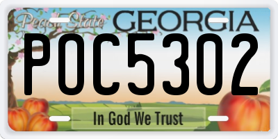 GA license plate POC5302