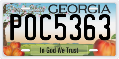 GA license plate POC5363