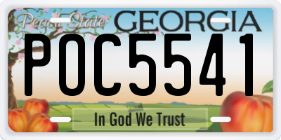 GA license plate POC5541
