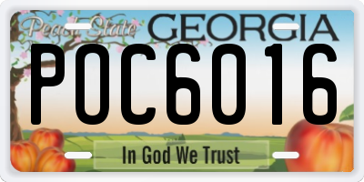 GA license plate POC6016