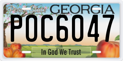 GA license plate POC6047