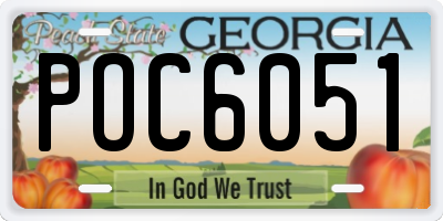 GA license plate POC6051