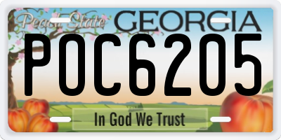 GA license plate POC6205