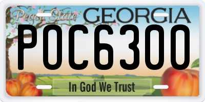 GA license plate POC6300